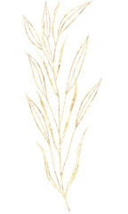 Gold elegant floral illustration