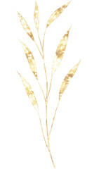 Fototapeta premium Gold elegant floral illustration