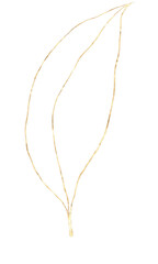 Gold elegant floral illustration