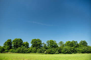 field and blue sky