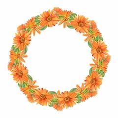 A beautiful wreath of calendula. Round flower arrangement on a white background. A wreath of medicinal flowers to decorate homeopathic tea, eco-products, natural cosmetics. Watercolor