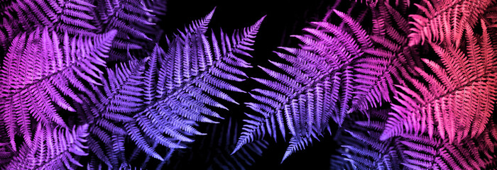 natural abstraction background banner fern leaf neon colors