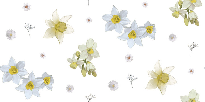 Light watercolor floral print - seamless background. Endless pattern with yellow flowers on white. Daffodils and Chamomile plants. Vector Stylish illustration, children - babies, spring, summer design