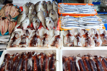 fish in the market