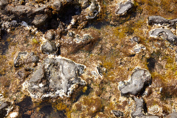Landscape of sand and volcanic mountains in the canary islands