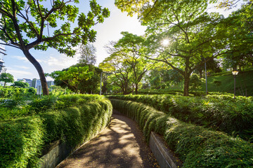 Beautiful walkway at fort canning park in Singapore with sunlight in the morning