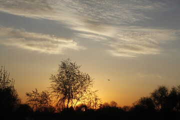 sunset in the sky