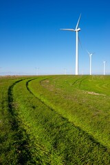 Wind turbines generators for green electricity production