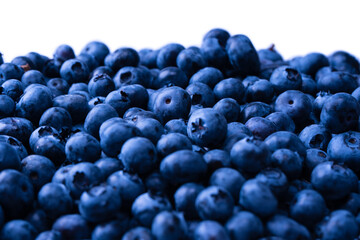 Fresh blueberry background. Texture blueberry berries close up.
