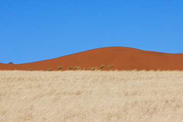 red dune in the Namibrand, Wolwedans