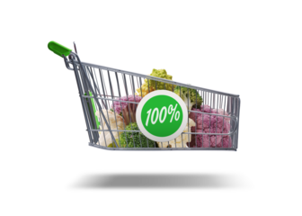 Flying shopping cart with fresh vegetables