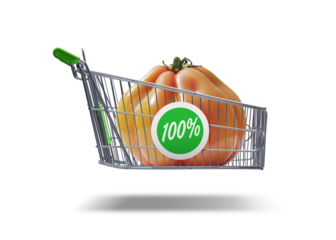 Flying shopping cart with fresh vegetable