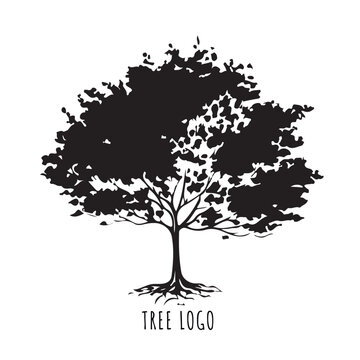 Tree icon concept of a stylized tree with leaves, lends itself to being used with text