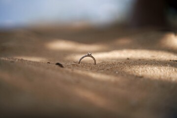 wedding rings on a tree
