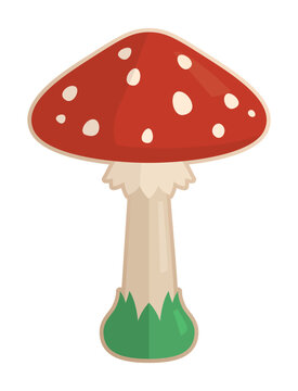 Clip art with isolated colorful amanita mushroom