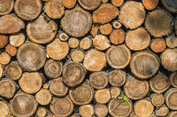 The background of a woodpile with firewood for heating the house in cold weather. Heating of the house. View of sawn wood for the fireplace. Firewood that needs to be chopped with an axe.