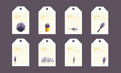 Set of tags with lavender. A branch of lavender