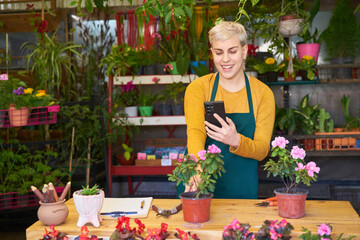 Florist takes photo of flowers for online advertising