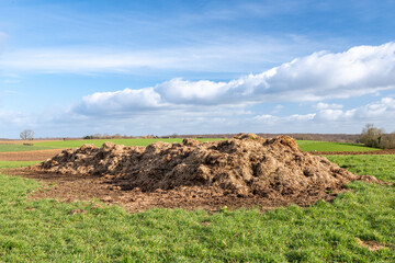 Tas de fumier dans une prairie en attente d'épandage