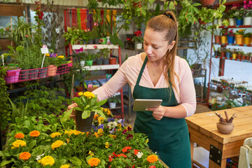 Young florist in flower shop doing quality control