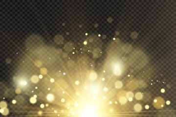 Brilliant gold dust vector shine. Glittering shiny ornaments for background. Vector illustration.	