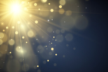 Fototapeta na wymiar Brilliant gold dust vector shine. Glittering shiny ornaments for background. Vector illustration. 