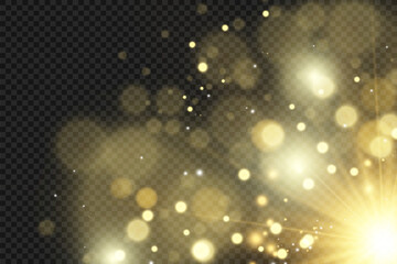 Brilliant gold dust vector shine. Glittering shiny ornaments for background. Vector illustration.	