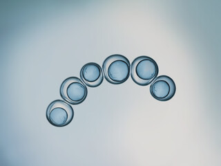 Cells division process, Cell divides into two cells	