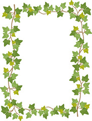 Fototapeta premium アイビーのフレーム