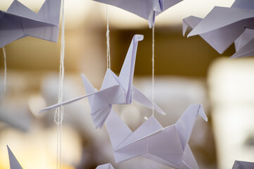 Japanese folded Origami cranes hanging on with strings. Hundreds handmade paper birds isolated with copy space. 1000 thousand crane sculpture topic. Symbol of peace, faith, health, wishes, hope