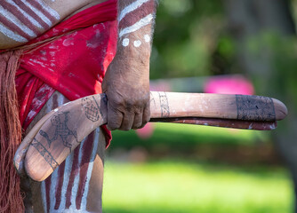 Australian Aboriginal culture, human hands are holding boomerangs, the ritual rite at the community...