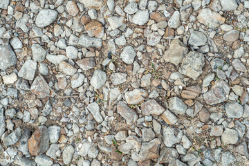 Background with stones scattered on the ground and small natural debris. Natural countryside background.