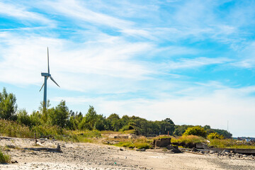 A wind turbine in an abandoned area with a small grove of trees and a sandy wasteland. Getting electricity in poor regions.