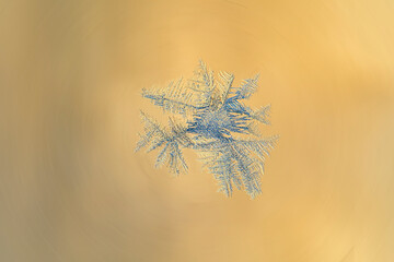 Frosty frost on a glass window. Close-up of ice patterns lightly blurred in soft focus.