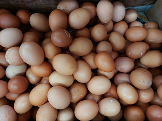 Raw brown chicken eggs pile as background flat lay view