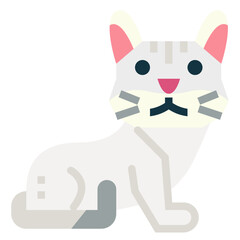 Burmilla cat flat icon style