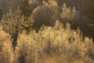 岩手県盛岡市　冬の岩洞湖
