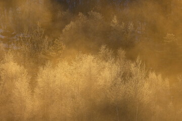 岩手県盛岡市　冬の岩洞湖