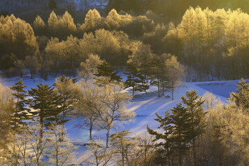 岩手県盛岡市　冬の岩洞湖