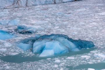 Fototapeta premium Deep blue and white chunks of ice of the famous glacier and natural sight Perito in the turquoise water of Lago Argentino in Patagonia, Argentina, South America 