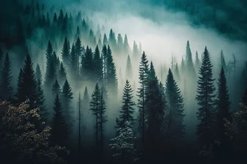 Papier Peint photo Lavable Forêt dans le brouillard Foggy pine forest, featuring the beauty of the natural environment, suitable for banners, wallpapers, or brochures. Ai generated..