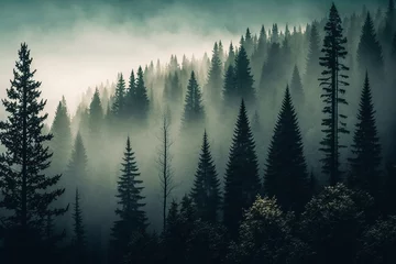 Foto auf Leinwand Foggy pine forest, featuring the beauty of the natural environment, suitable for banners, wallpapers, or brochures. Ai generated.. © twindesigner