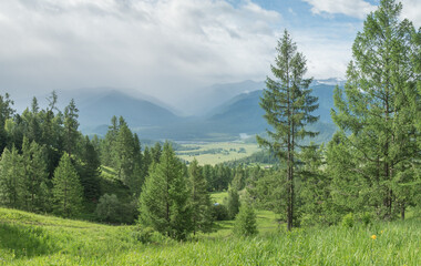 Mountain valley on a cloudy day, summer greenery of forests and meadows