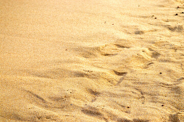 Clean sand on the shore of the Baltic Sea. Selective focus