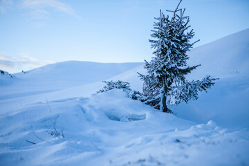 Sonnenaufgang in den schweizer Bergen