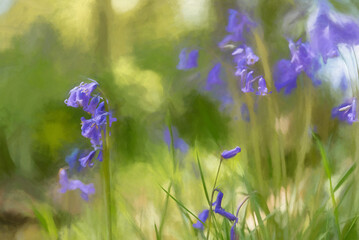 Digital painting of brightly colored sunlit purple bluebell flowers against a natural background.