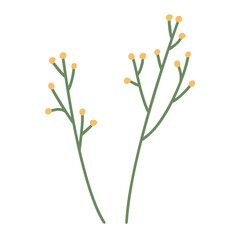 Twigs with yellow flowers. Vector illustration of a stylized plant in cartoon style. Isolated on a white background.