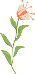 Green Grass Twig with Orange Flower. PNG