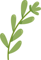 Green Grass Twig. PNG