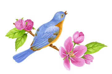 Spring composition consisting of cherry flowers, green leaves and blue bird sitting on branch. Watercolor illustration for greeting card or invitation.